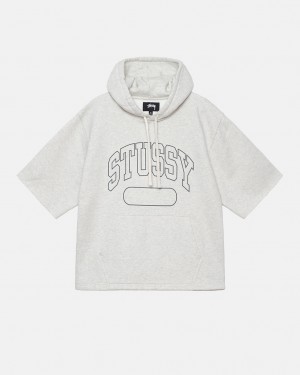 Stussy Ss Boxy Cropped Hoodie Hoodie Heren Grijs Belgium | XPO-0448