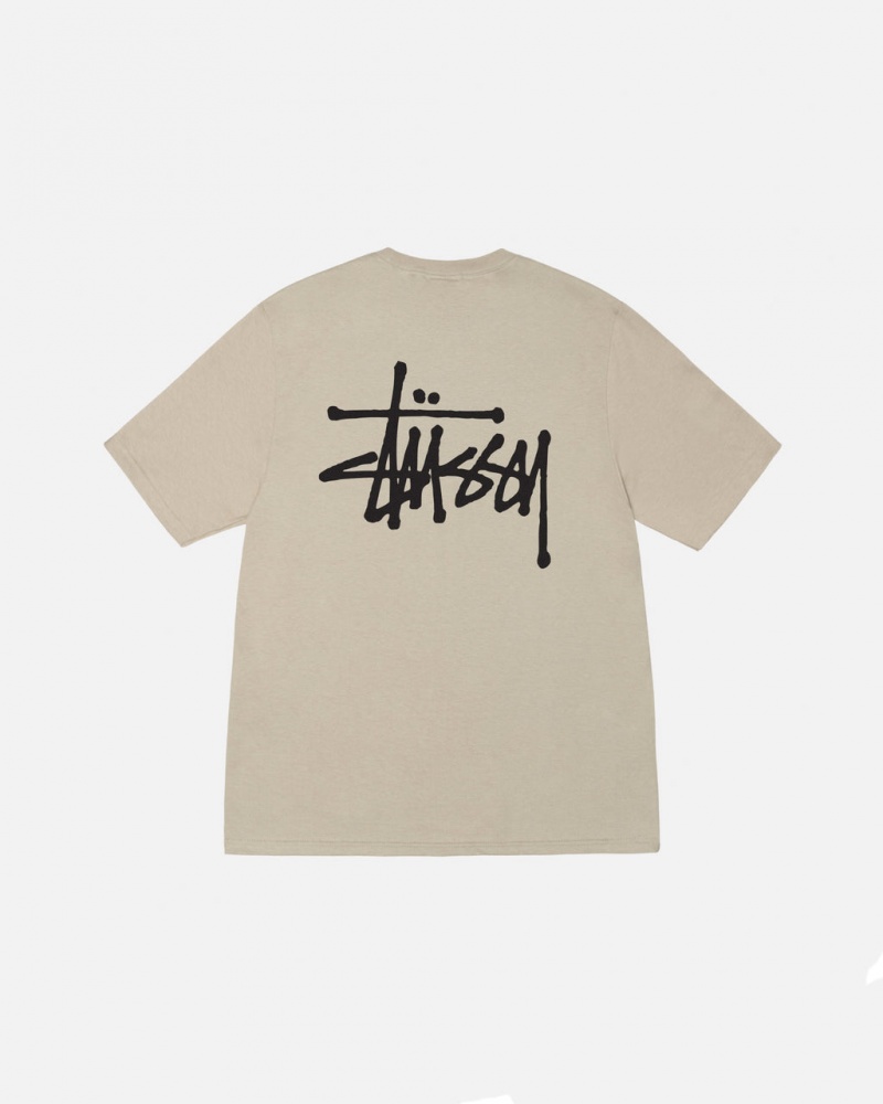 Stussy Basic Stussy Tee T-shirts Dames Khaki Belgium | KUB-3175