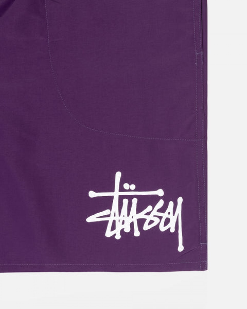 Stussy Big Basic Water Kort Zwemkleding Heren Fuchsie Belgium | JSG-3390