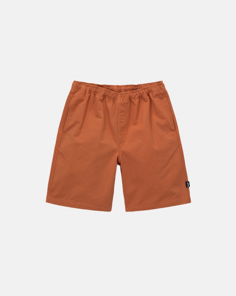 Stussy Brushed Beach Kort Korte Broek Heren Bruin Belgium | AKY-6360