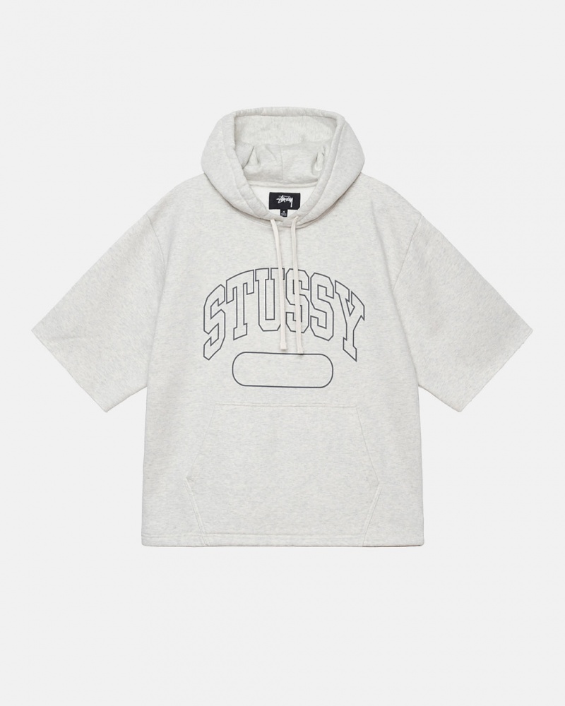 Stussy Ss Boxy Cropped Hoodie Hoodie Dames Grijs Belgium | RRM-5876